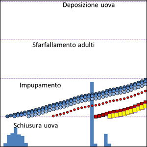 Previsione dell’andamento stagionale di Zanzara Tigre per il 2022 in Emilia-Romagna