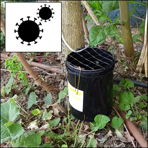 Stima del rischio epidemico da chikungunya e dengue dal 2020 al 2025 in Emilia-Romagna